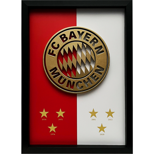 Bayern Munchen Frame WIth 3D-printed Logo