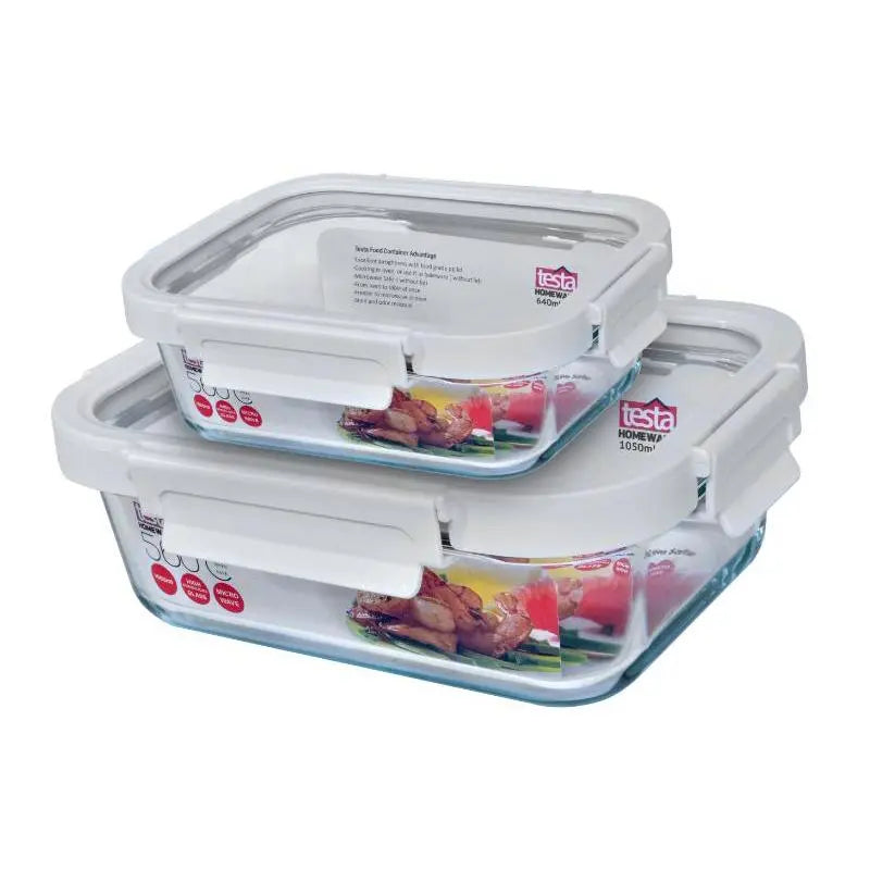 Testa Set of 2 Glass Leak Proof Rectangular Food Containers 640 & 1050ml
