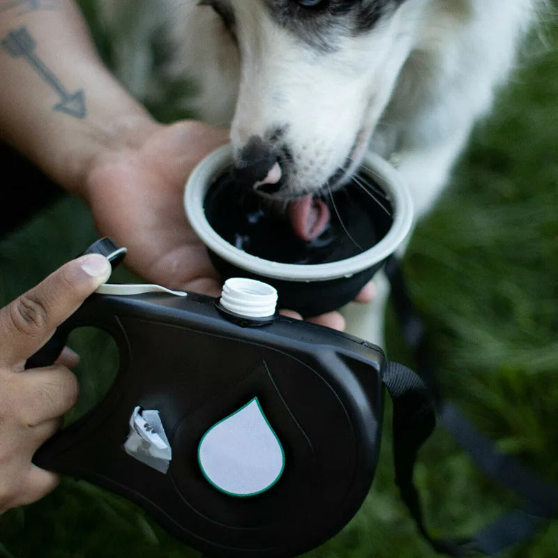 4-in-1 Retractable Dog Leash