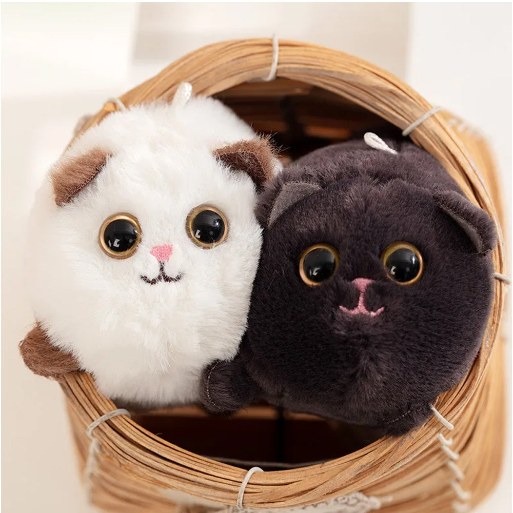 (Net) Cat Plush Toy Soft Cuddle Kitten Lebanon