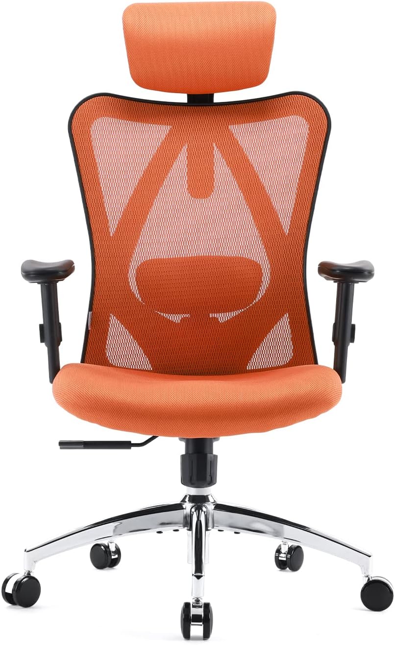 Sihoo M18 - Classic Office Chair With Triple Spinal Relief