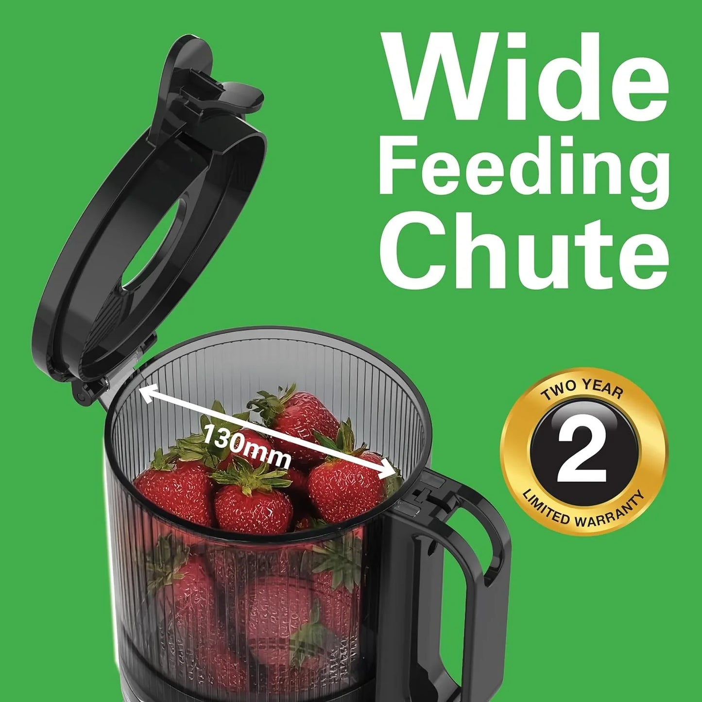 Hamilton Beach Slow Juicer 250W