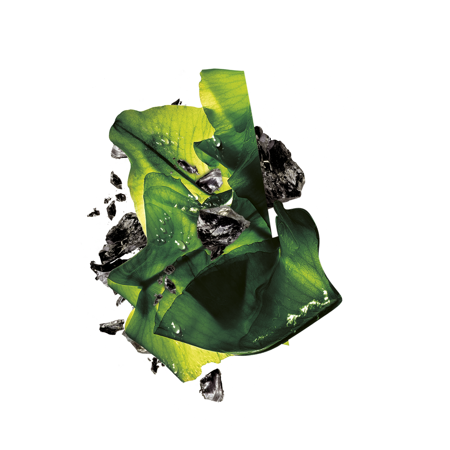 Garnier Charcoal and Algae Hydrating & Purifying  Tissue Mask