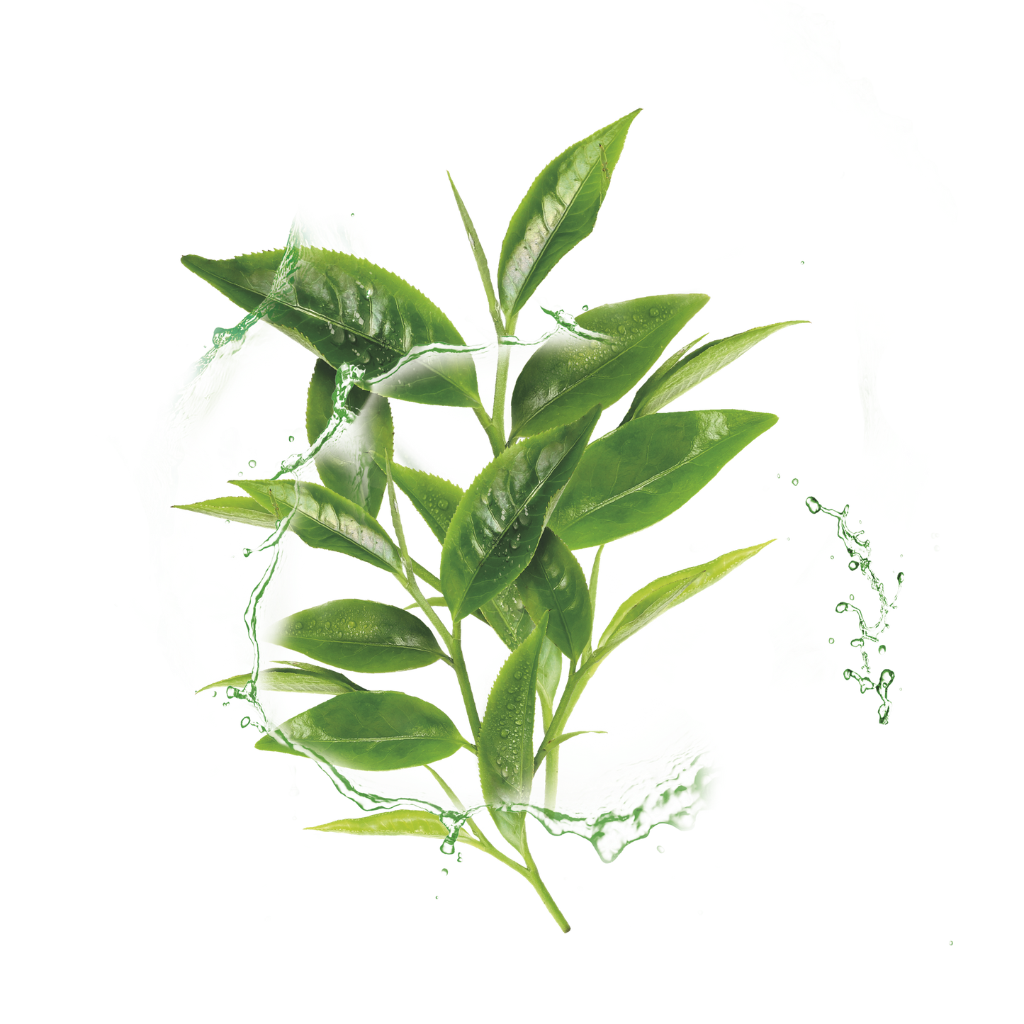 Garnier Hydra Bomb Green Tea Super-Hydrating & Rebalancing Tissue Mask for Normal to Combination Skin