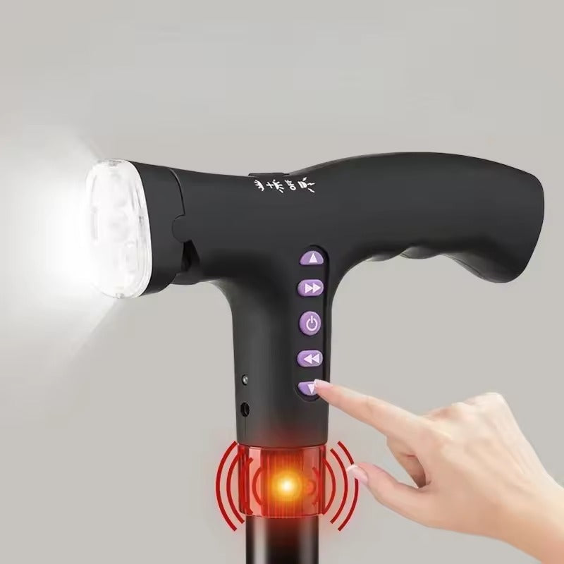 Multifunctional Smart Cane