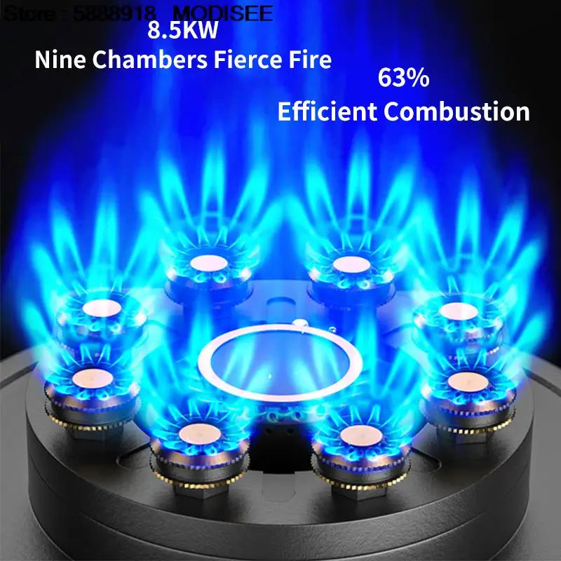 Flipped Burner Dual Gas Stove