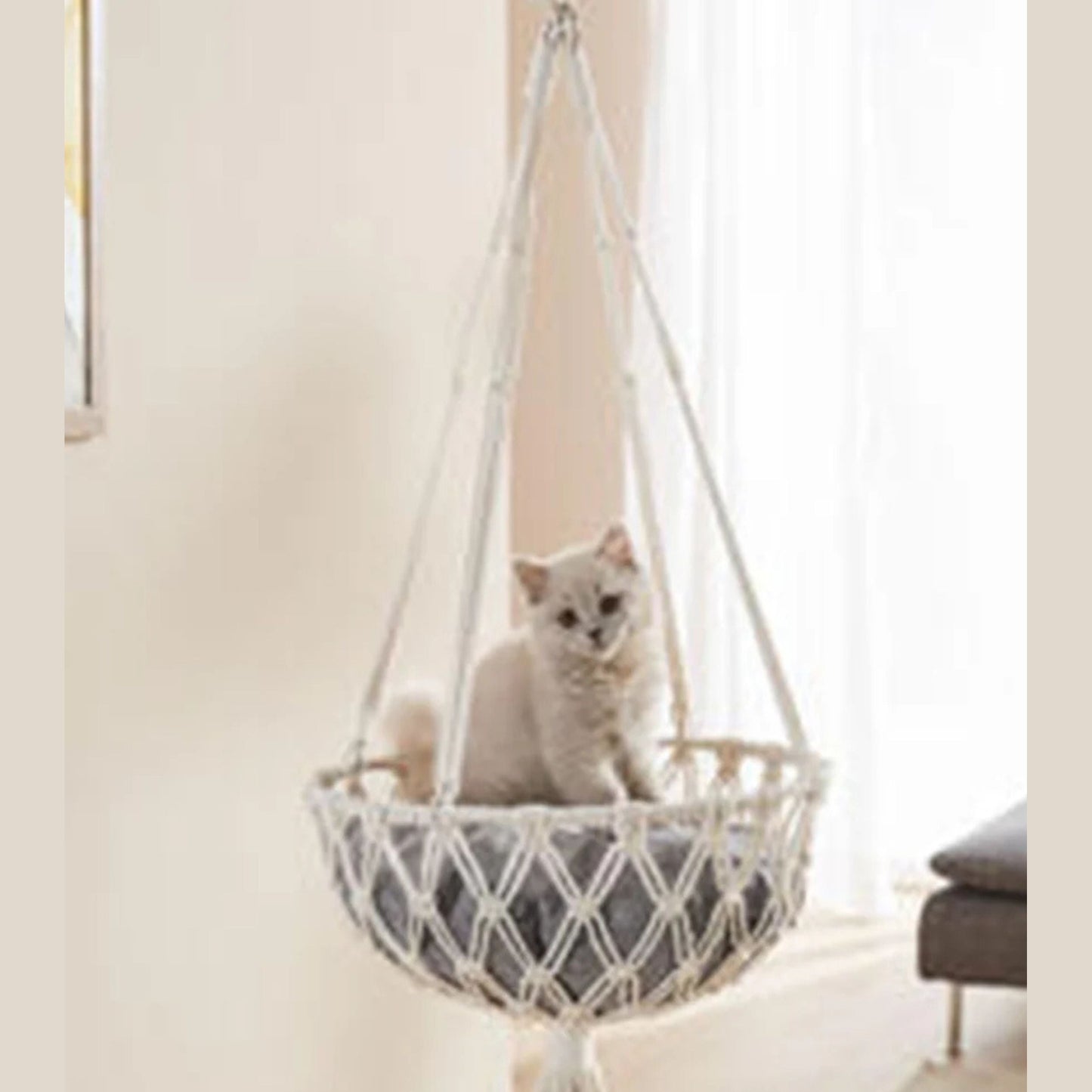 Pet Bed (Rocking Bed)