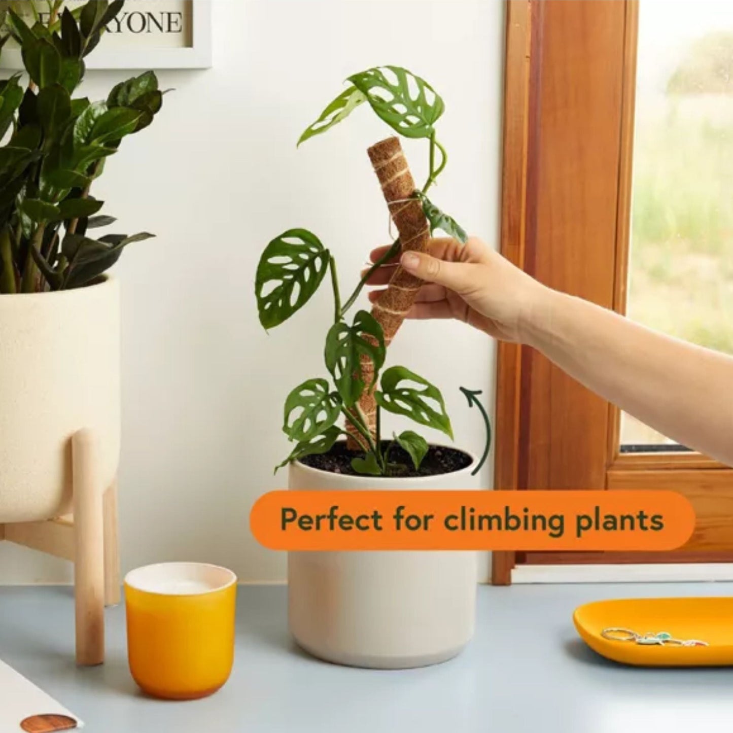Plant Support