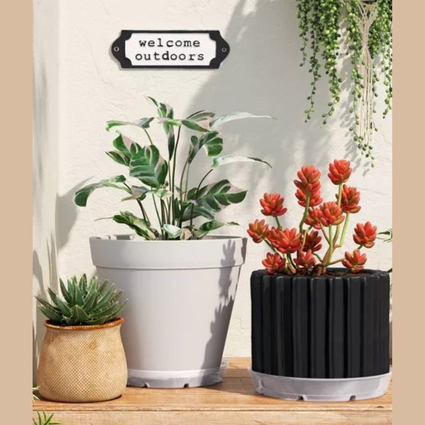 Plastic Planter Saucer Clear