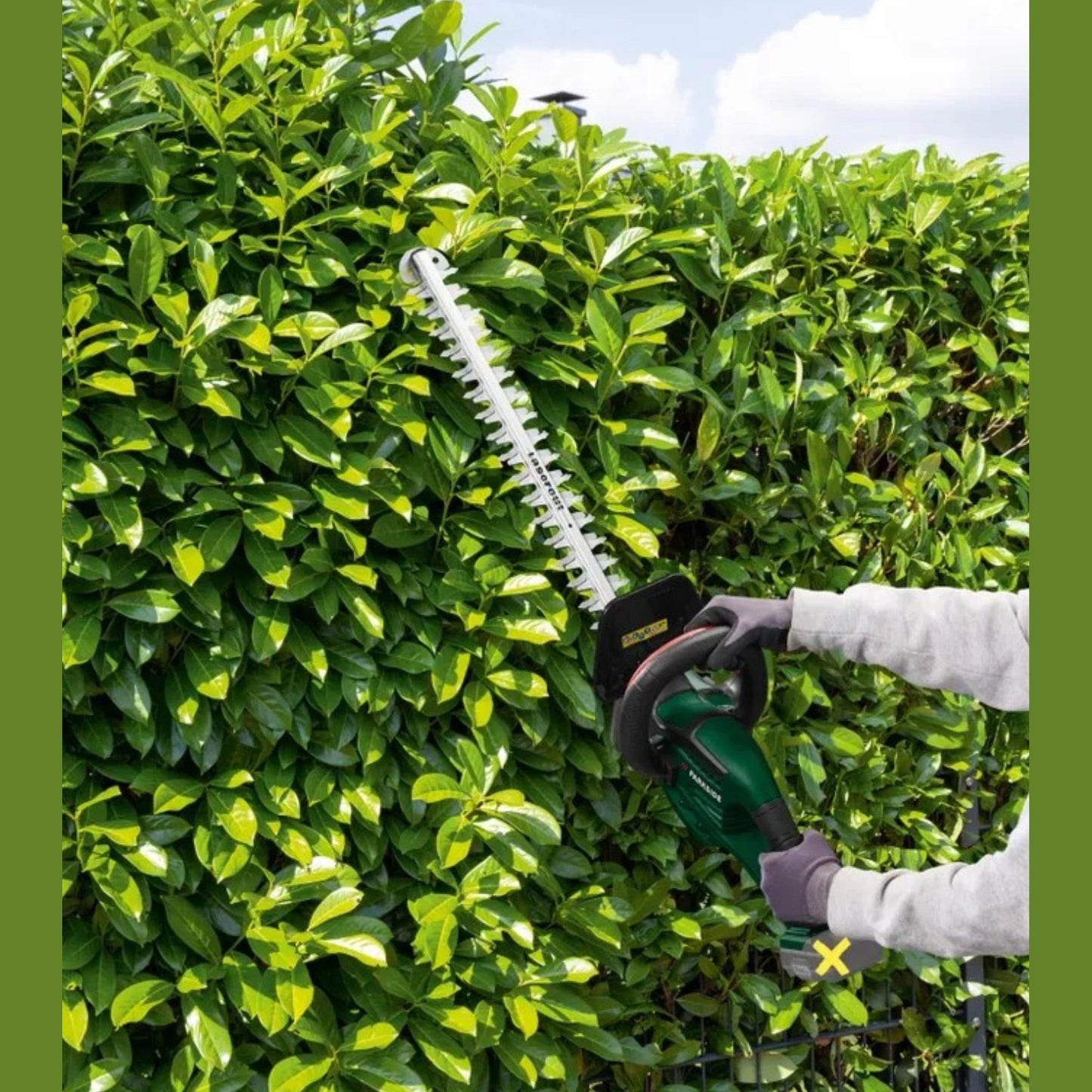 Cordless Hedge Trimmer 20V "Phsa 20-Li C3"