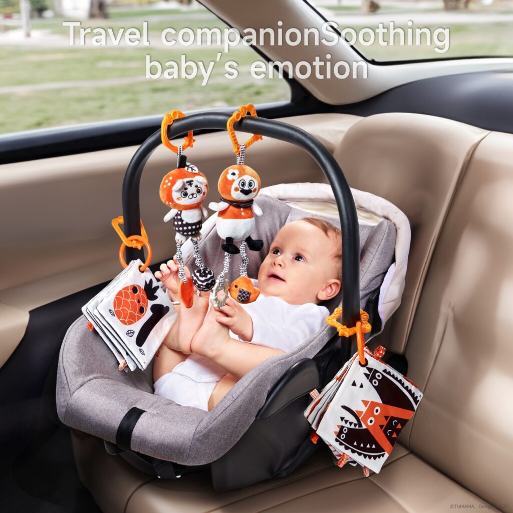 Tumama Kids - Newborn Visual Flash Cart And Rattle Set  - Black&White