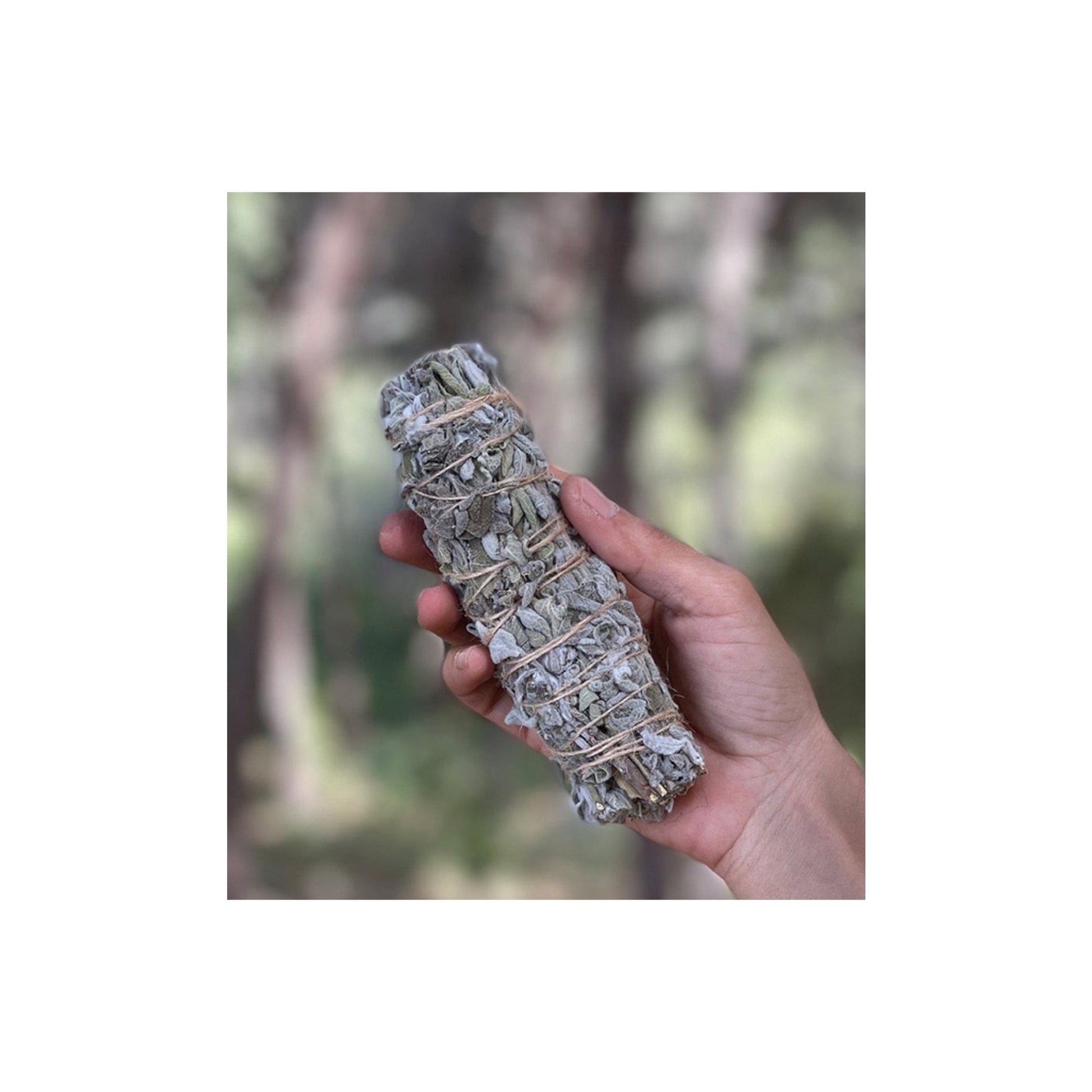 SACRED SMUDGING - SAGE - Medaid International