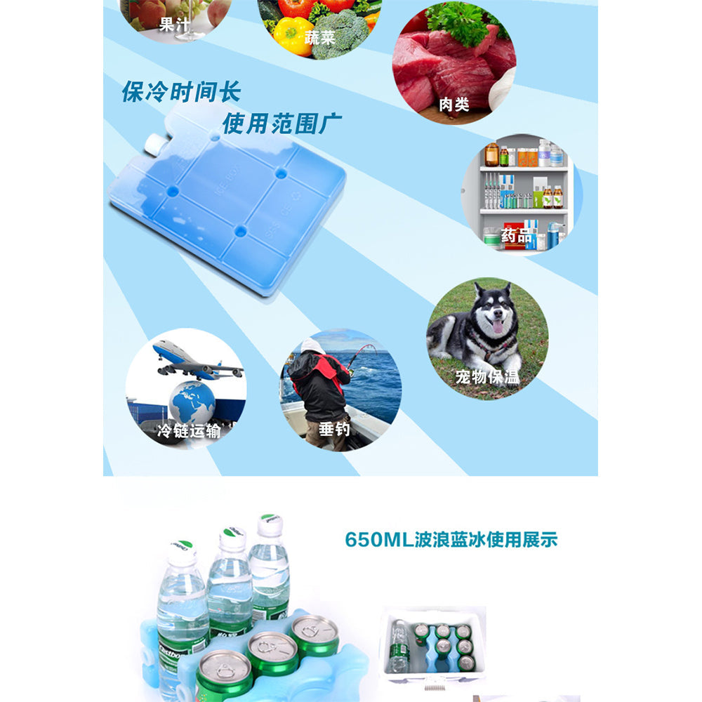 (NET) Ice Gel Box 250ML