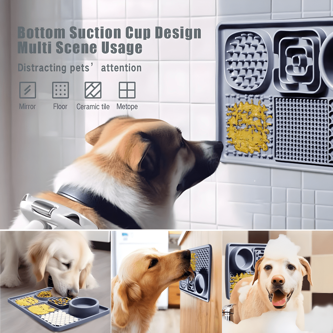 6-in-1 Silicone Slow Feeder & Lick Mat with Bowl for Dogs & Cats