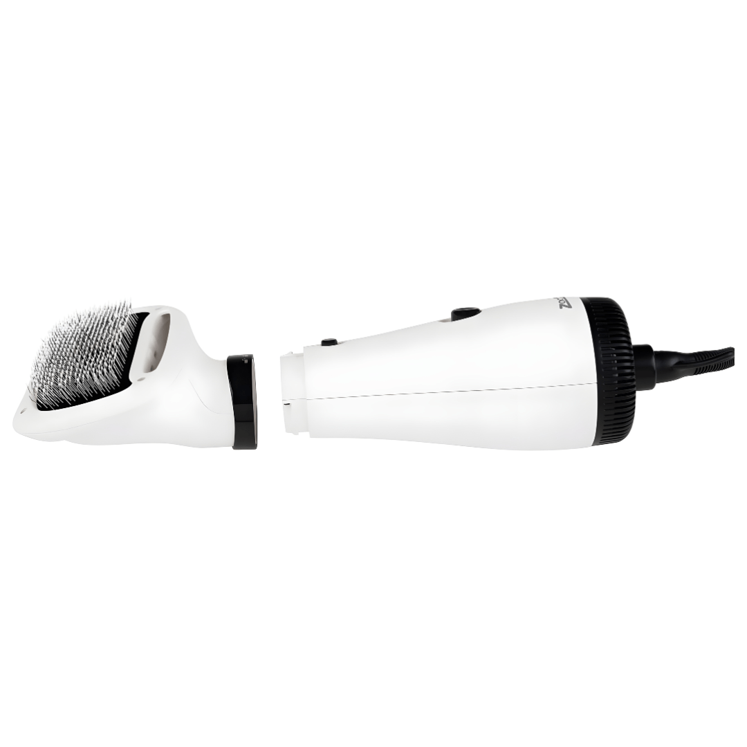 Zoofari 2-in-1 Pet Dryer with Brush 300W