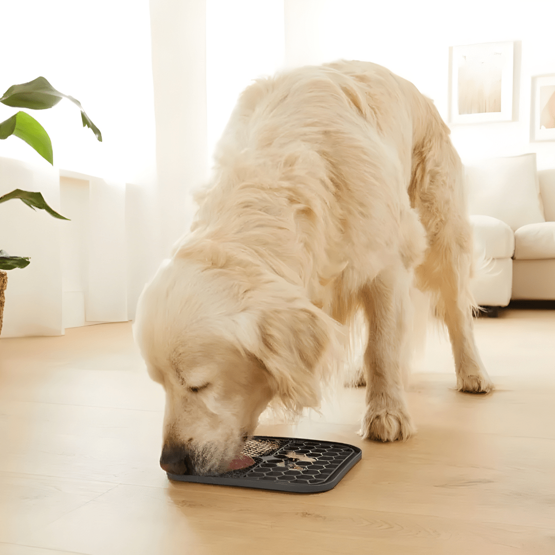 ZOOFARI® Pet Licking Mats with Suction Cups – Anti-Stress