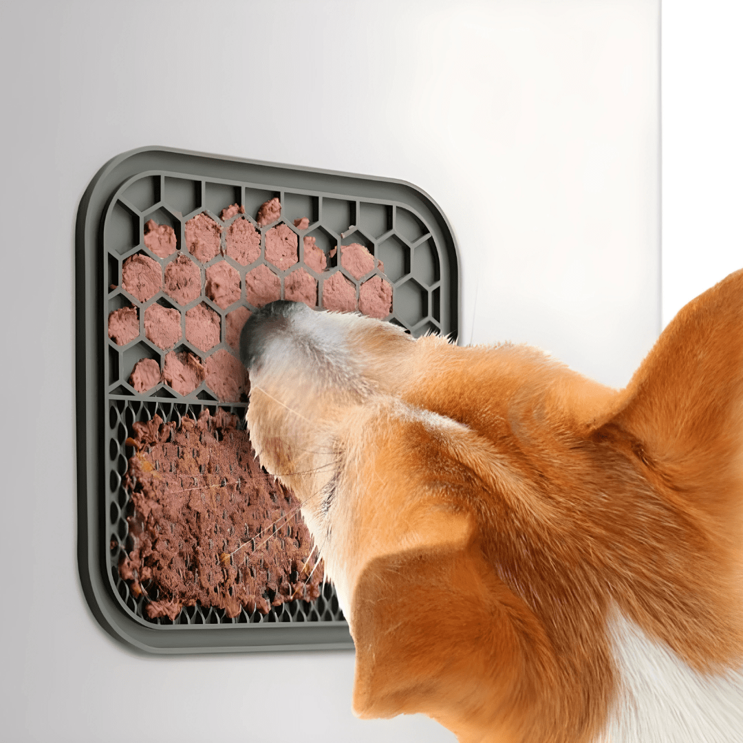 ZOOFARI® Pet Licking Mats with Suction Cups – Anti-Stress