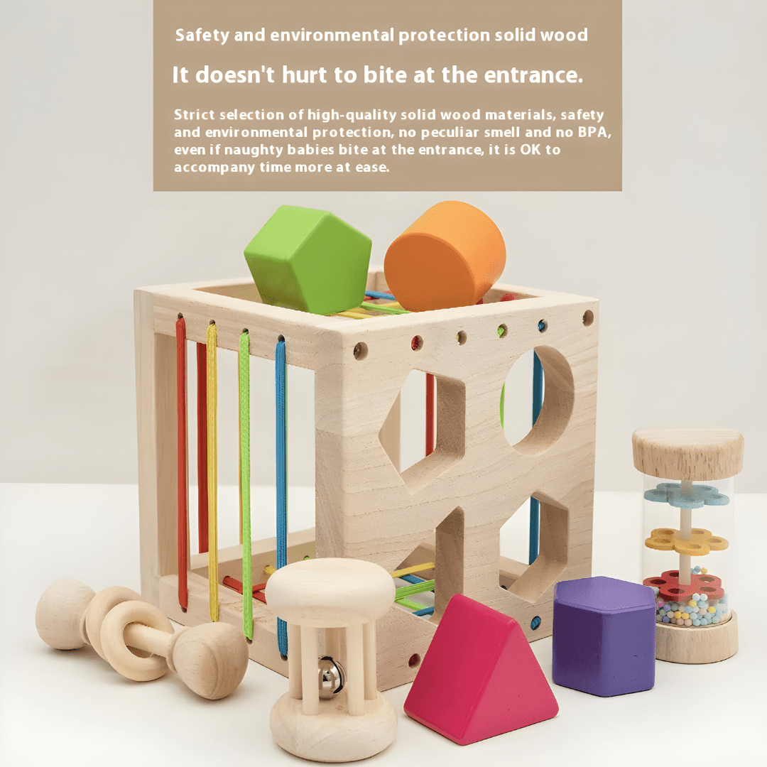 Montessori Wooden Shape & Color Learning Cube Toy