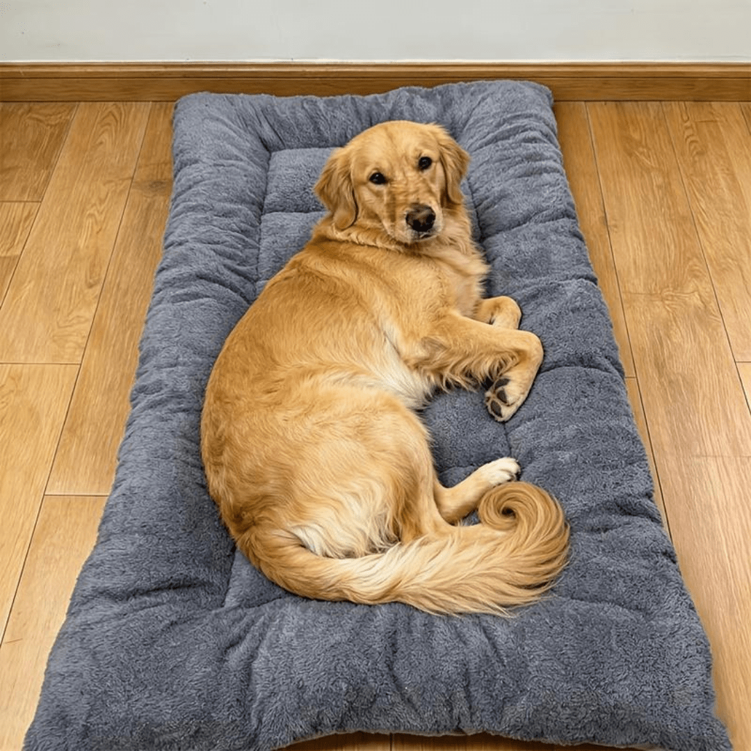 Soft Washable Pet Mat Bed – Anti-Slip Dog & Cat Mattress (120×60cm)