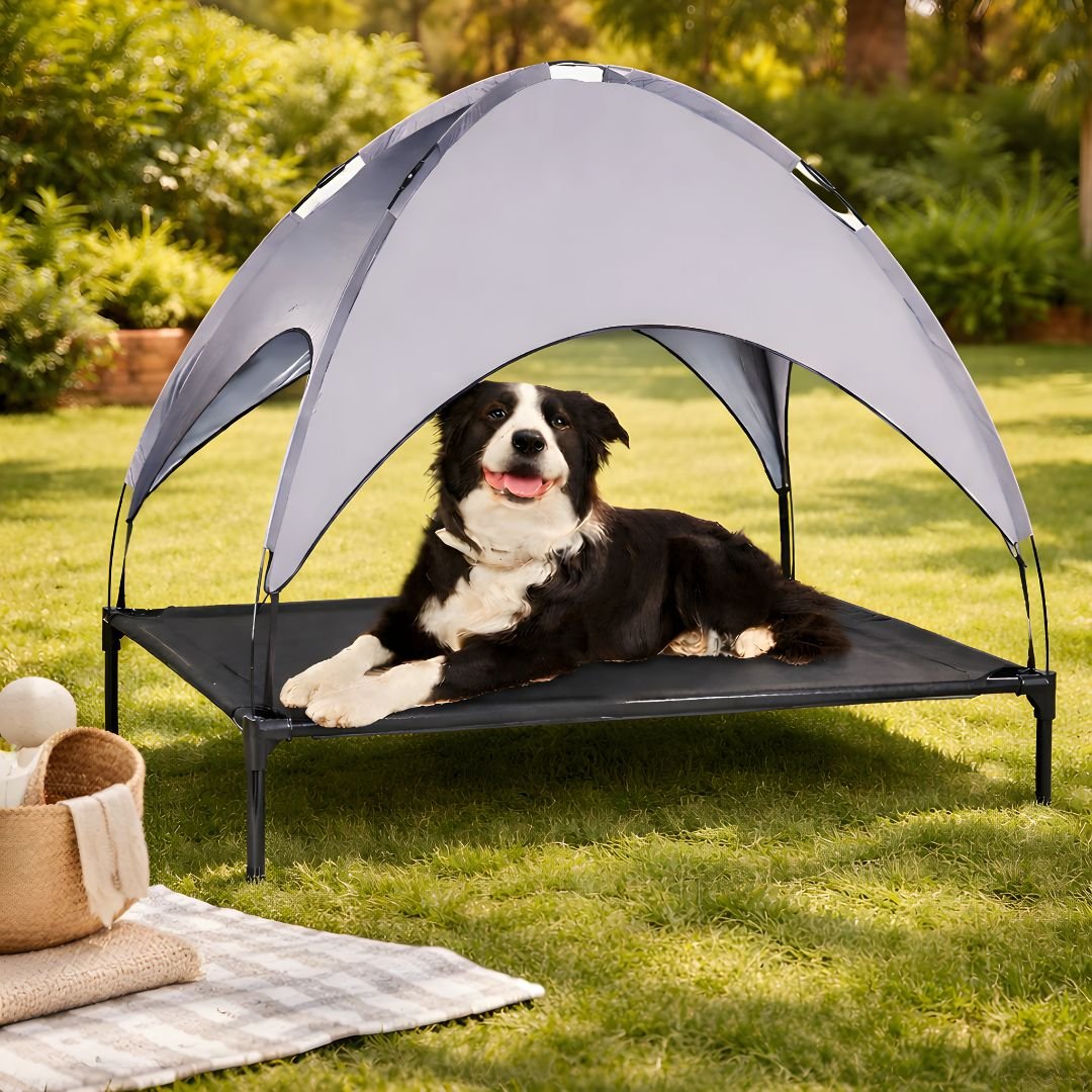 Elevated Outdoor Dog Bed with Removable Canopy (92×76×18cm)