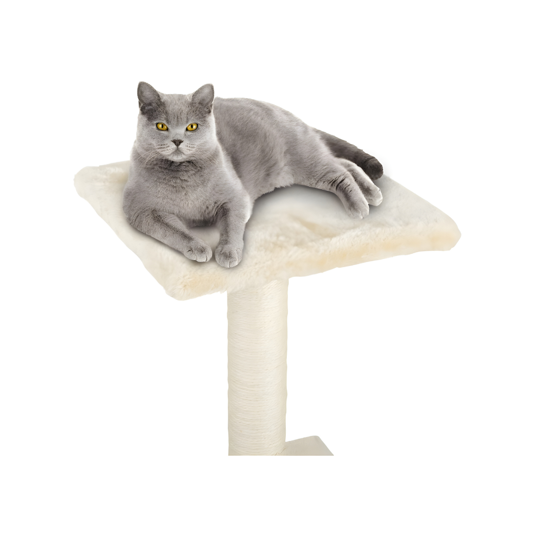 Zoofari® Cat Tree – 2 Levels of Comfort, Play & Scratching Joy