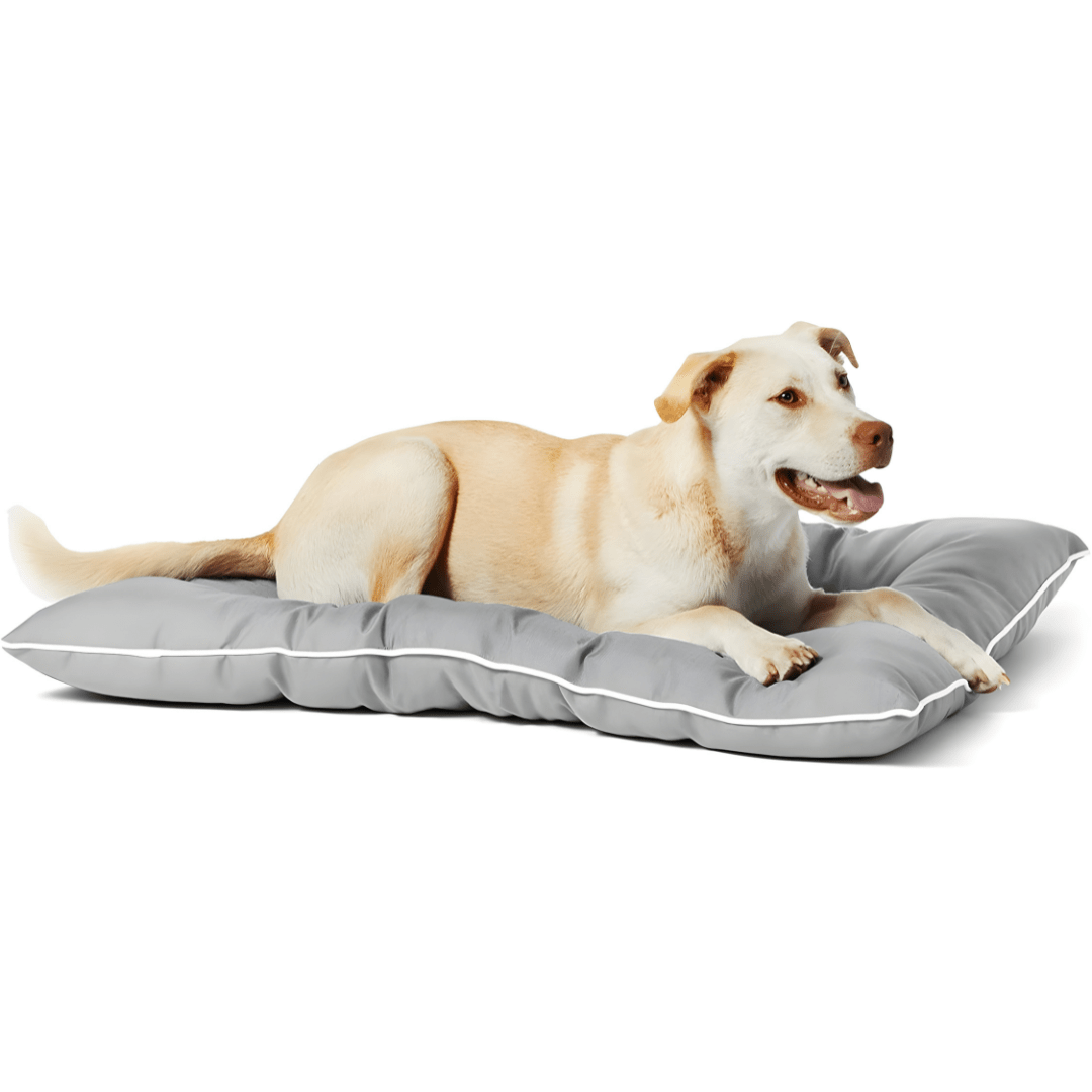 Amazon Basics Water-Repellent Pet Pillow Bed – Large 101×76×10cm