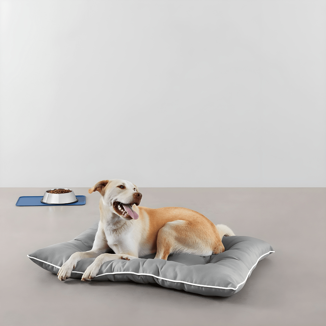 Amazon Basics Water-Repellent Pet Pillow Bed – Large 101×76×10cm