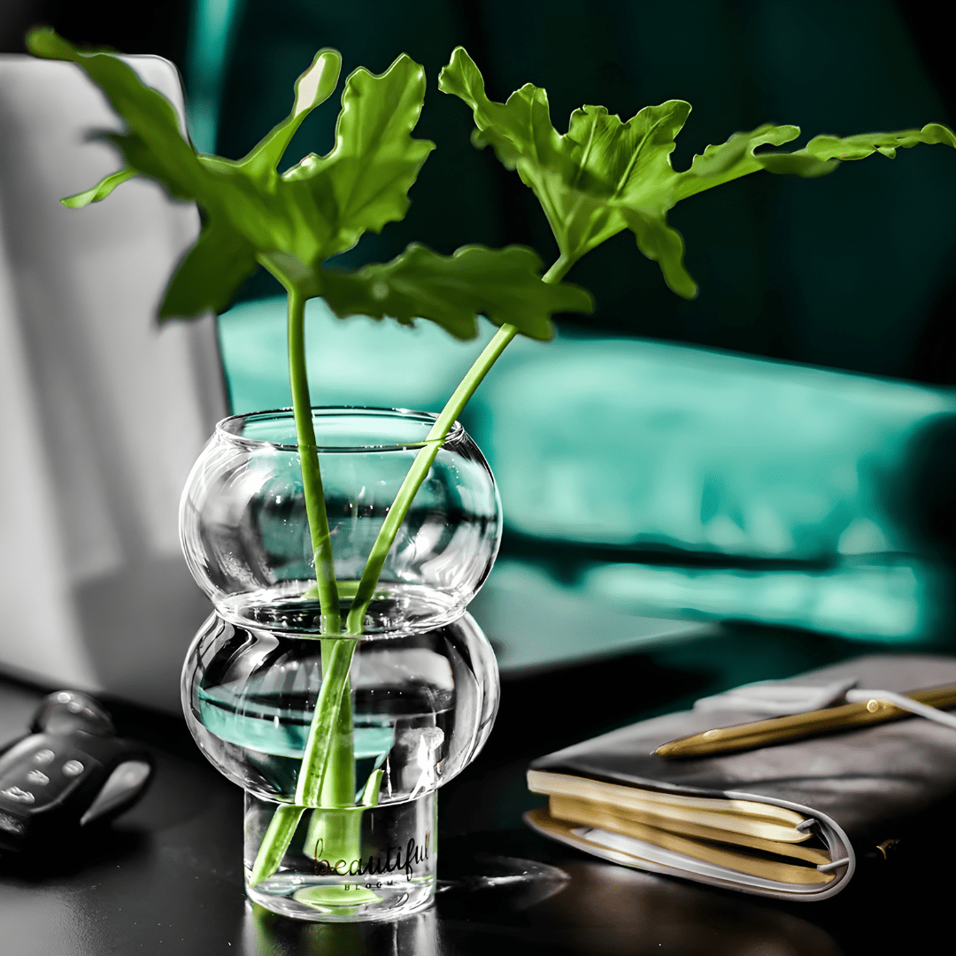 530ml Curvy Clear Glass – Multi-Use Cup or Vase