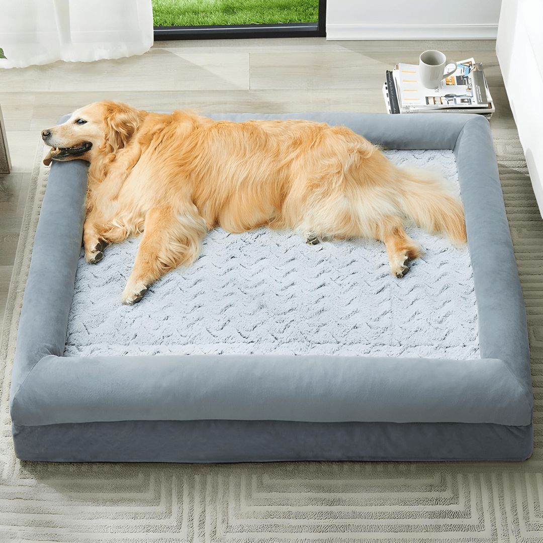 Orthopedic Dog Bed XL – 135×107×18 cm with Washable Velvet Cover & Bolster Sides