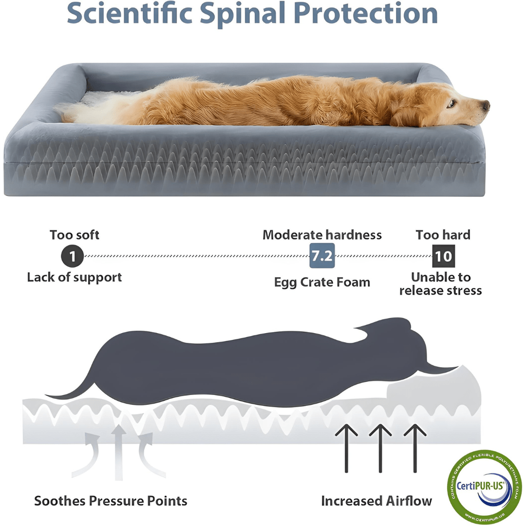 Orthopedic Dog Bed XL – 135×107×18 cm with Washable Velvet Cover & Bolster Sides