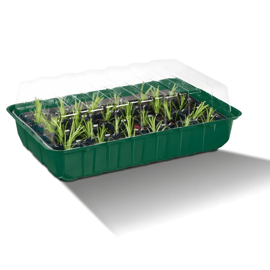 PARKSIDE® Mini Greenhouse Set – 12-Piece Seed Starter Kit with Trays & Covers