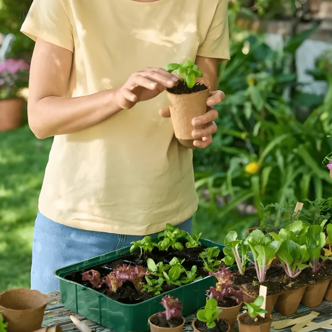 PARKSIDE® Mini Greenhouse Set – 12-Piece Seed Starter Kit with Trays & Covers