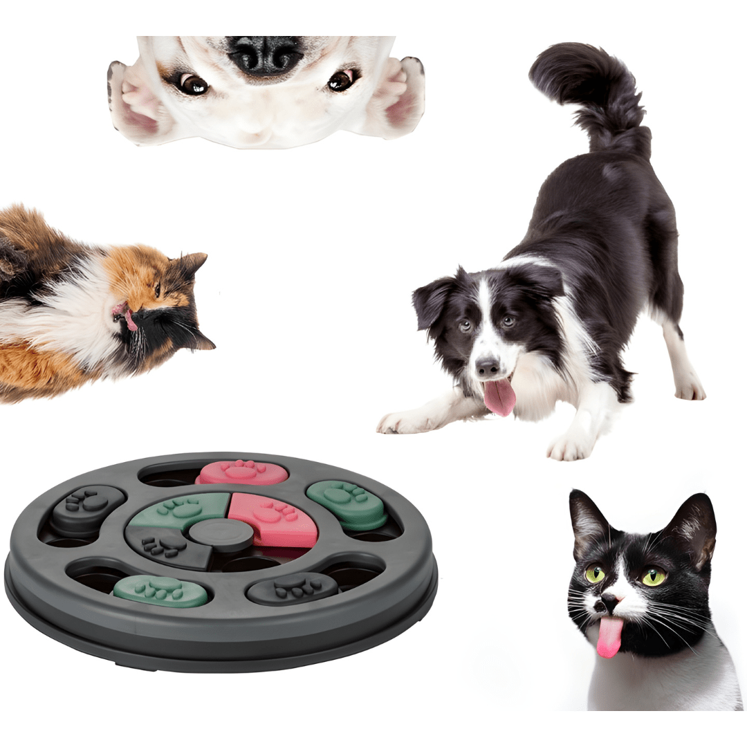 Zoofari Pet Intelligence Toy – Dogs & Cats