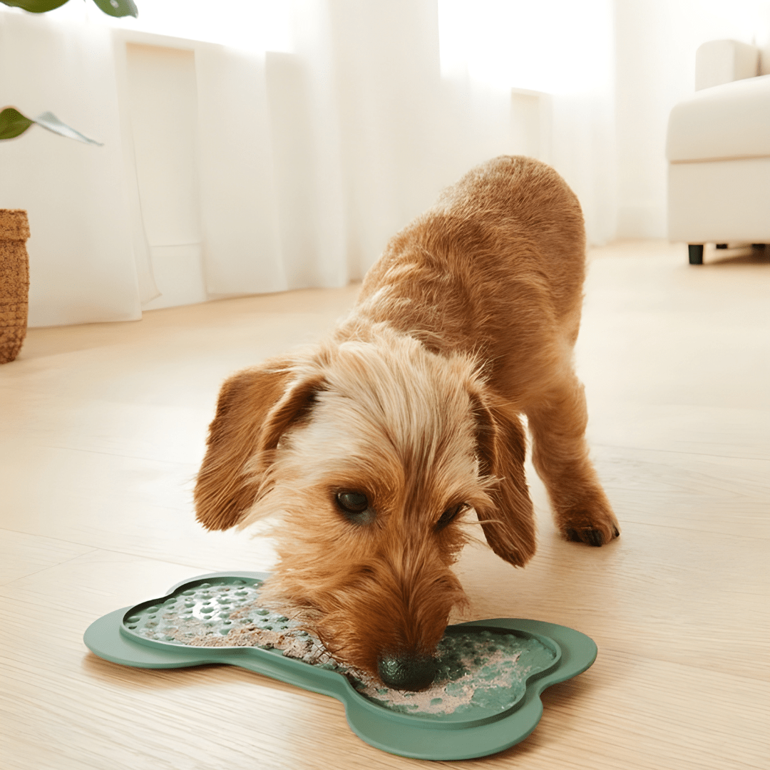 ZOOFARI® Pet Licking Mats with Suction Cups – Anti-Stress