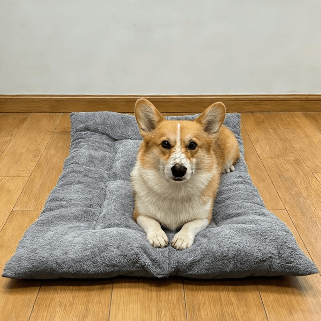 Soft Washable Pet Mat Bed – Anti-Slip Dog & Cat Mattress (120×60cm)
