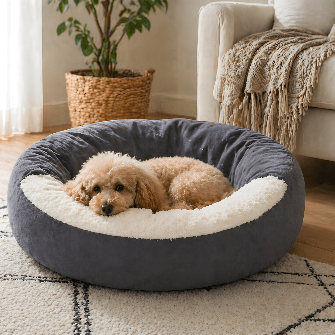 Dog Cave Bed 80cm – Anti-Anxiety Hooded Pet Bed with Soft Blanket Cover