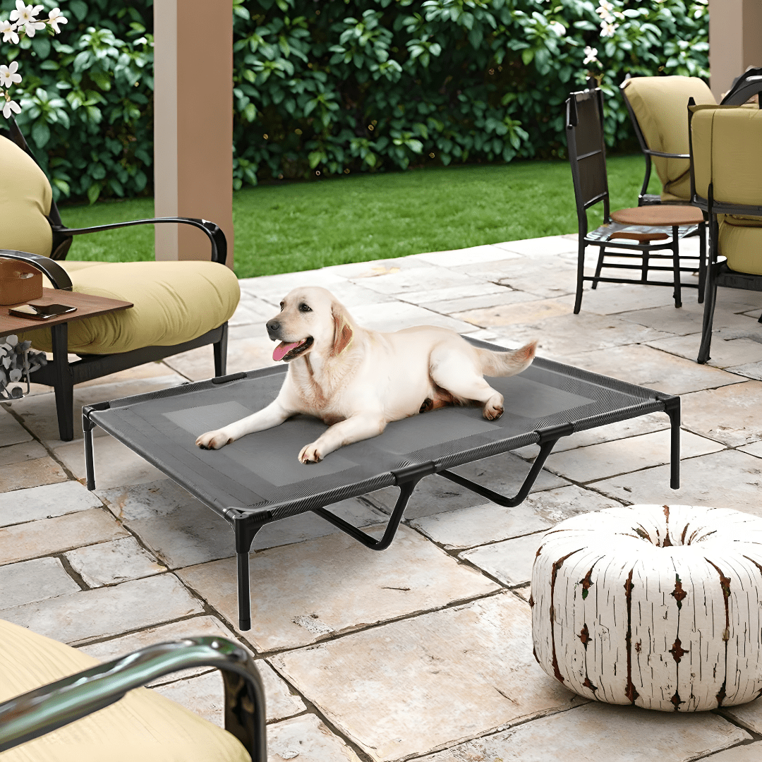 Elevated Dog Bed 125×80cm (Teslin Mesh)
