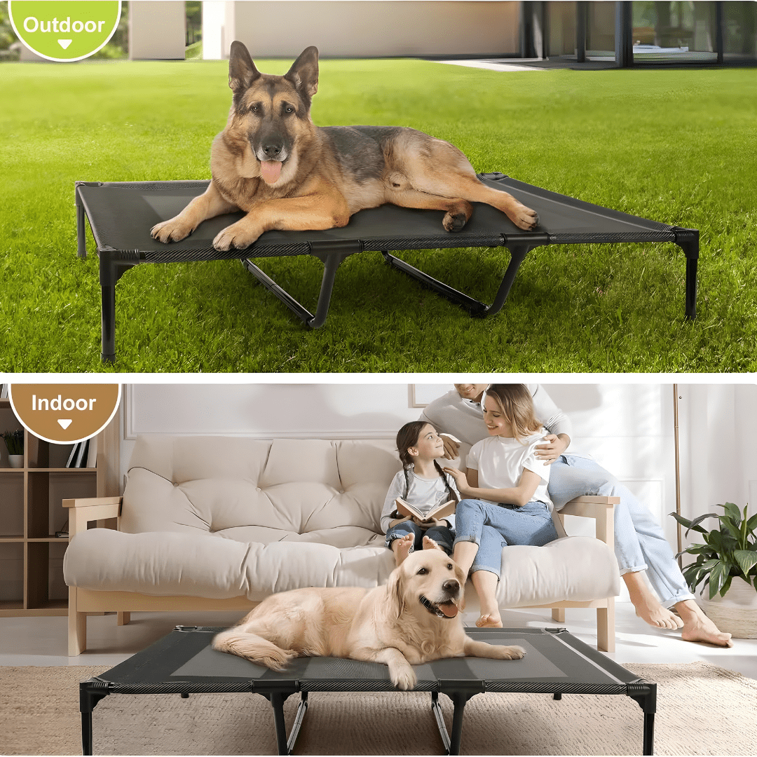 Elevated Dog Bed 125×80cm (Teslin Mesh)