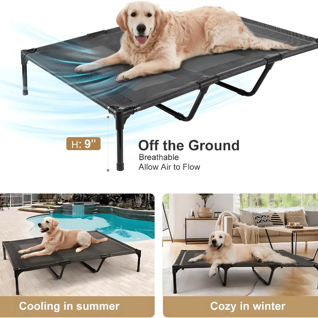 Elevated Dog Bed 125×80cm (Teslin Mesh)
