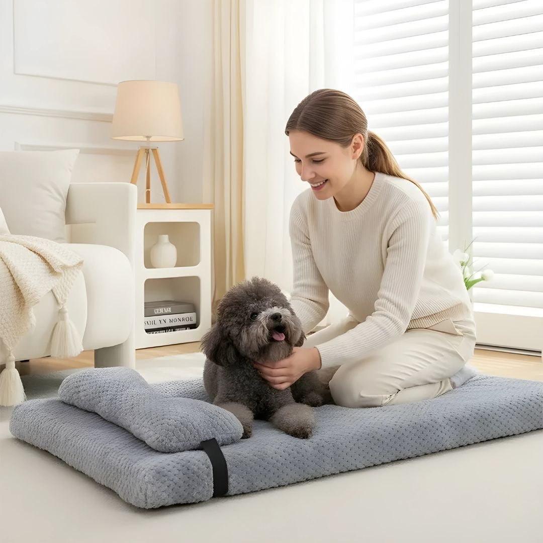 Orthopedic Memory Foam Pet Bed with Pillow (Waterproof & Washable)