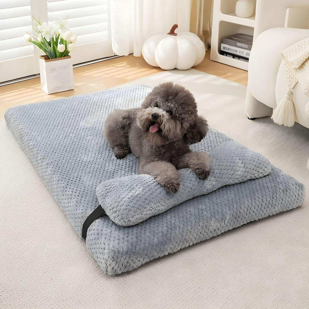 Orthopedic Memory Foam Pet Bed with Pillow (Waterproof & Washable)