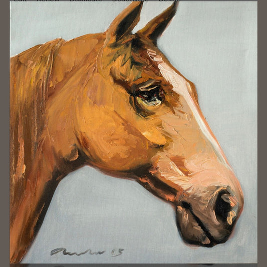 Brown Horse Head