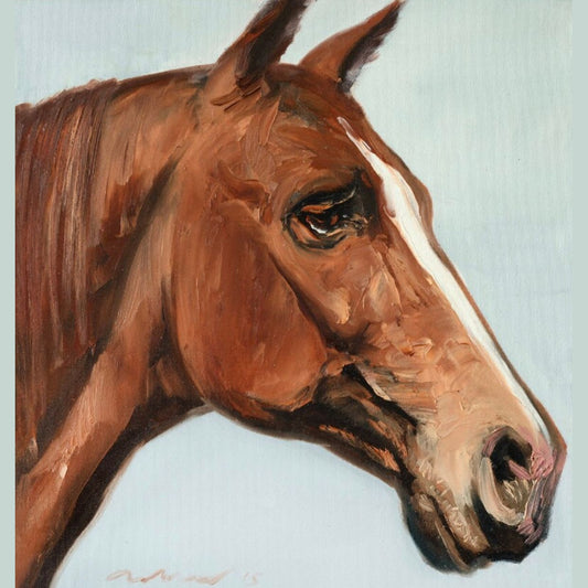 Brown Horse Head 2