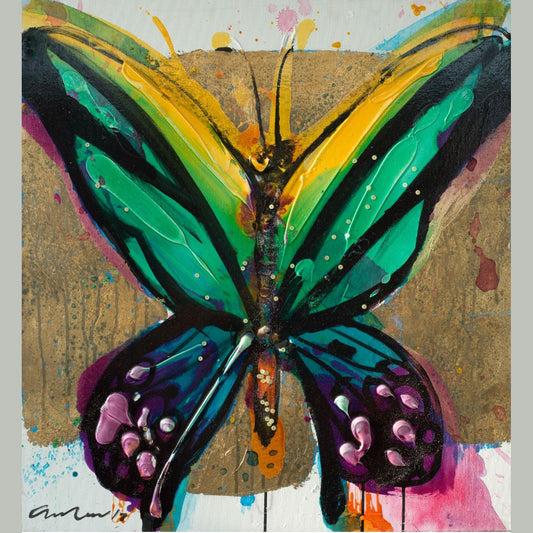 ButterflyZ