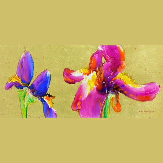 Purple Iris