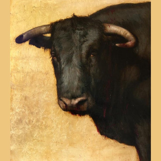 Toro