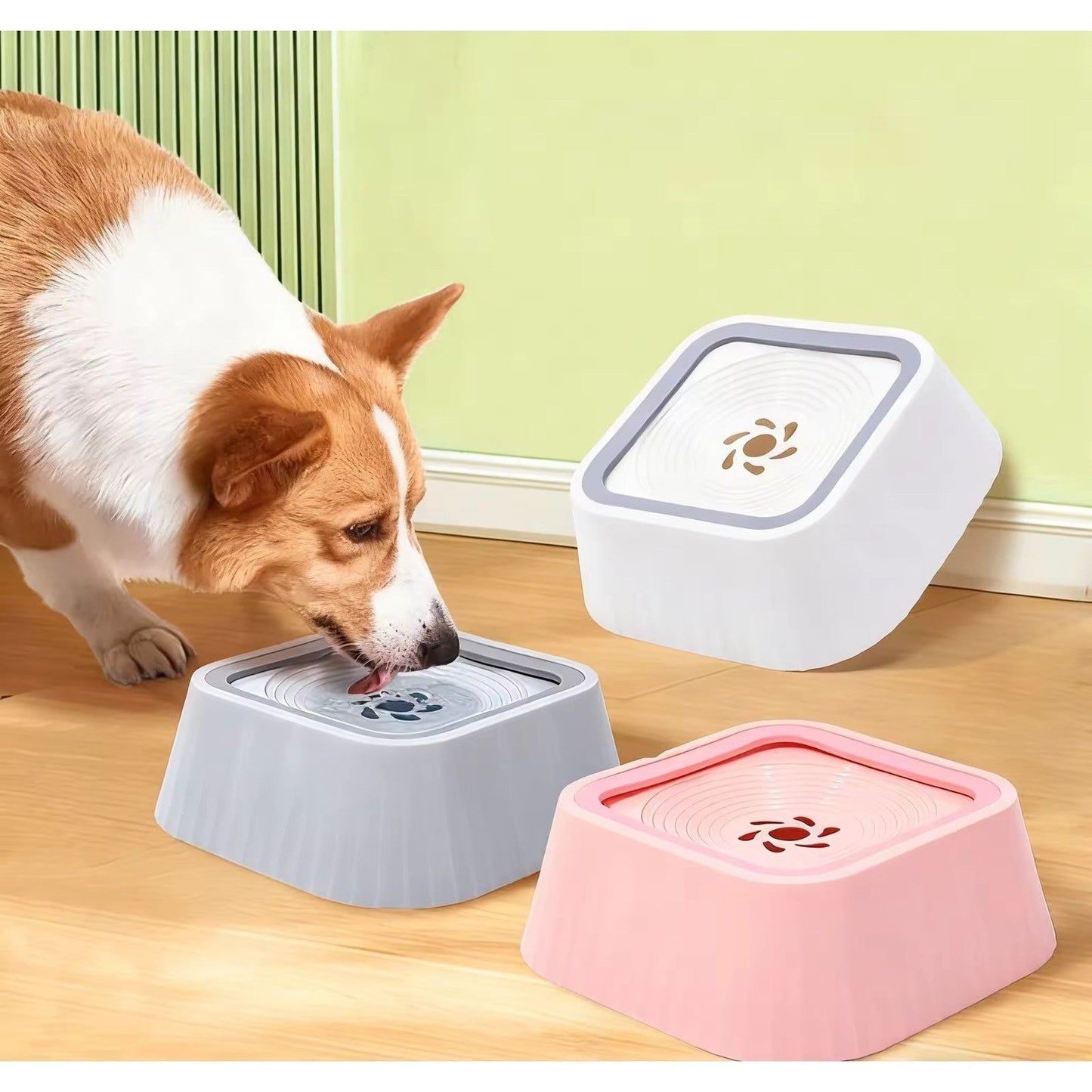Pet Water Bowl