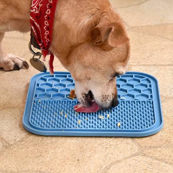 Lick pad