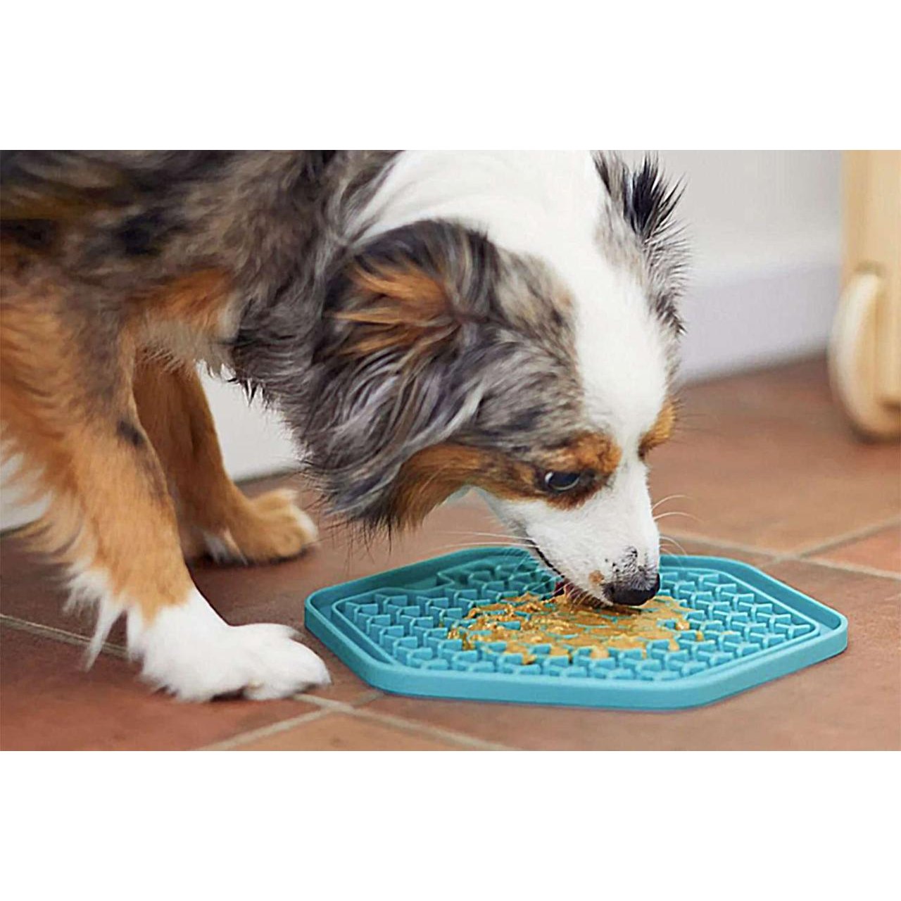 Lick pad