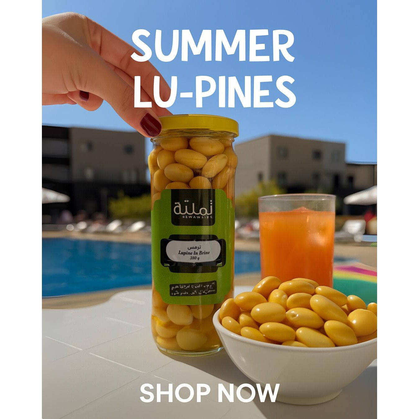 Lupine in Brine– Namliye – Natural Healthy Snack